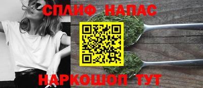 mdpv Заводоуковск
