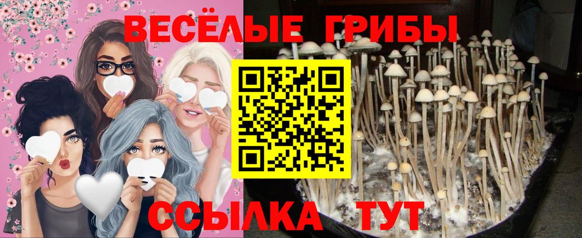 Назрань  Псилоцибиновые грибы Psilocybe  Галлюциногенные грибы Psilocybine cubensis  Вход с VPN 